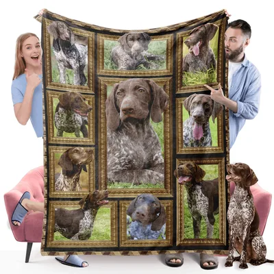 German Shorthaired Pointer Photo Blanket: Framed Canine Portraits