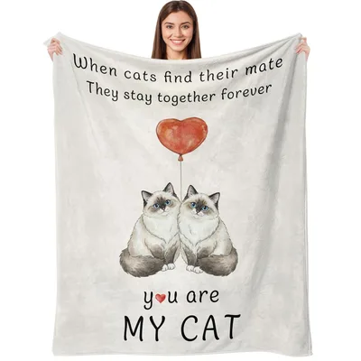 When Cats Find Blanket: A Romantic Feline Design for Couples