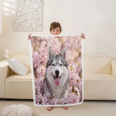 Husky in Cherry Blossoms Blanket: Happy Dog Among Pink Sakura Flowers