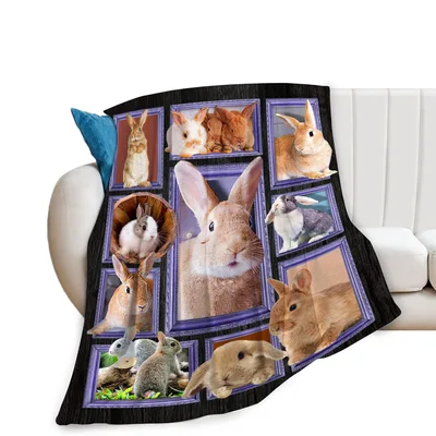 Rabbit Lover Blanket: Six Bunnies in Purple Frames