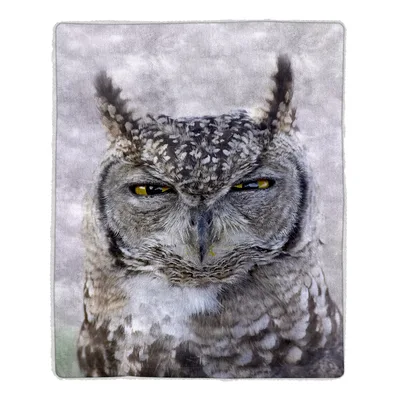 Funny Photo Blanket: Grumpy Owl Portrait for Night Lovers