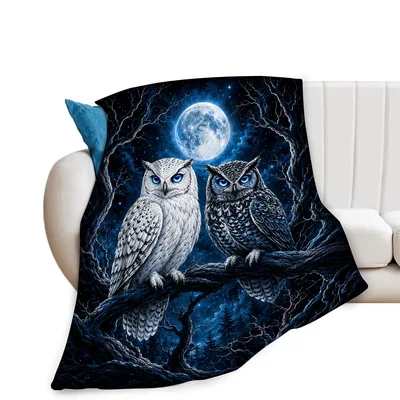 Owls Under Moon Blanket: Two Owls on a Night Branch