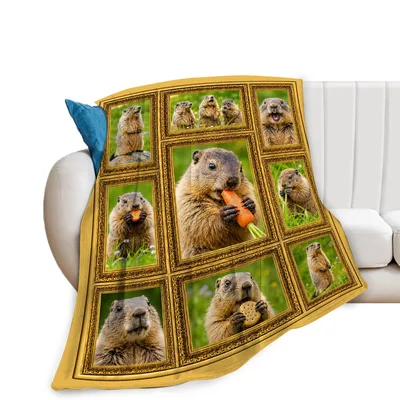 Groundhog Lover Blanket: Nine Framed Portraits of a Burrow Favorite