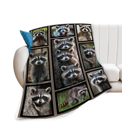 Raccoon Photo Blanket for Animal Lovers and Night Wanderers