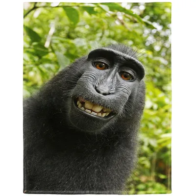 Smiling Monkey Blanket: a grinning black macaque in leaves