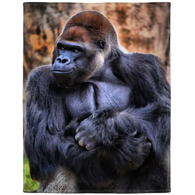 Silverback Gorilla Blanket for Animal Lovers