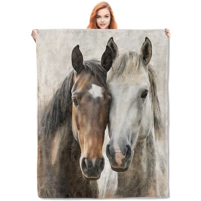 Horse Friends Blanket: Two Horses, One Soft Throw