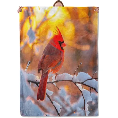 Red Cardinal Bird on Snowy Branch Blanket for Cozy Winter Days