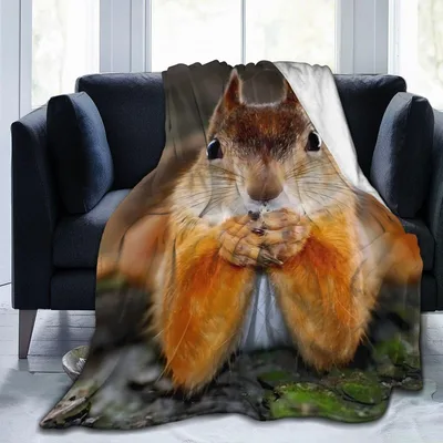 Red Squirrel Blanket: A Cozy Nature Throw for Animal Lovers