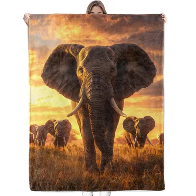 Elephant Herd Blanket for Sunset Safari Lovers