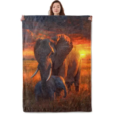 Elephant Sunset Savanna Blanket: Grandparent and Calf in Golden Light