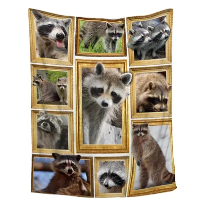 Raccoons in Gold Picture Blanket for Animal Lovers