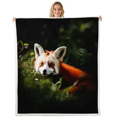 Red Panda in Forest Blanket