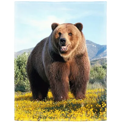 Brown Bear in Meadow Blanket: Grizzly Bear Wildflower Print