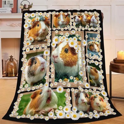 Guinea Pigs in Daisy Blanket: Floral Frames and Cute Rodents