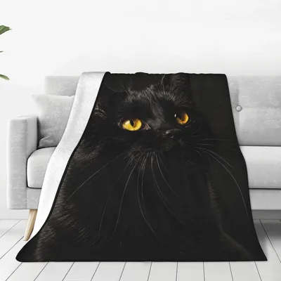 Black Cat Face Portrait Blanket for Feline Lovers