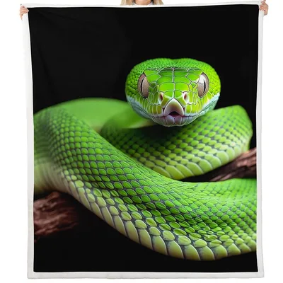 Green Viper Snake Photo Blanket: Lush Green Reptile Design