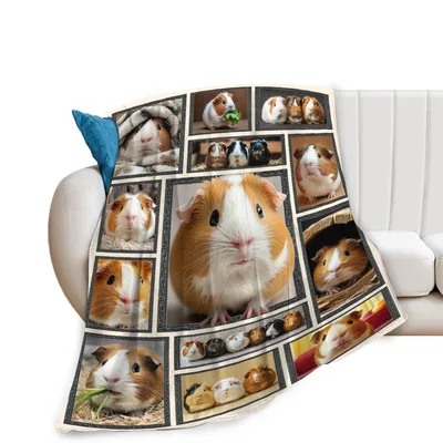 Guinea Pig Photo Collage Blanket: A Frame of Cute Rodent Portraits