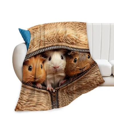 Guinea Pigs Peeking Blanket: Three Rodents in a Zipper Pocket