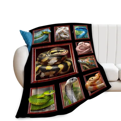 Colorful Snakes in Frames Blanket: A Gallery of Reptile Portraits
