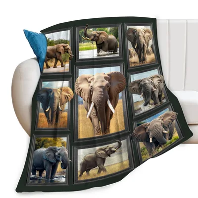 Elephants Photo Collage Blanket: Framed Safari Animal Portraits