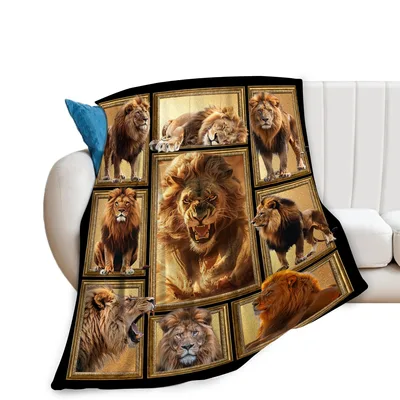 Lions in Gold Frames Blanket