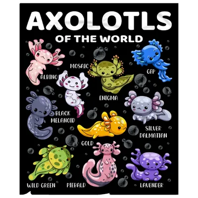 Axolotls of the World Blanket