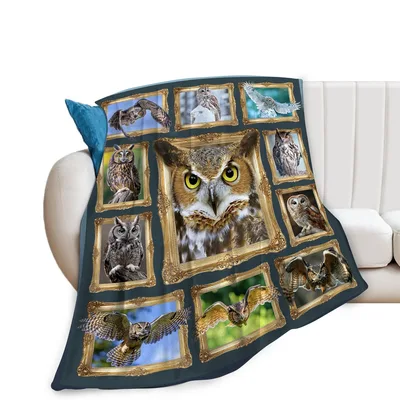 Owls in Photo Frames Blanket: Ornate Gold Portraits of Night Birds