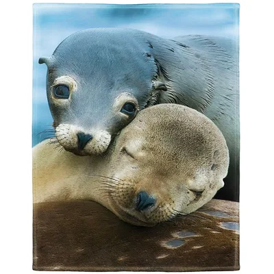 Sea Lions Cuddling Together Blanket: Adorable Marine Pups Resting