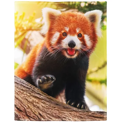 Cute Red Panda Blanket: Smiling Red Panda on Log Design