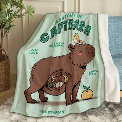 Anatomy of Capybara Chart Blanket: A Cute Animal Anatomy Print