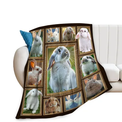 Bunnies in Photo Frames Blanket: A Collage of Framed Rabbits