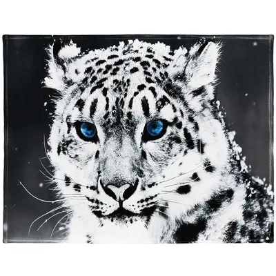 Snow Leopard Blue Eyes Blanket: A striking portrait of a wild feline
