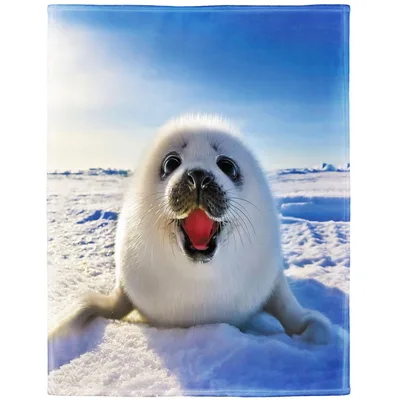 Cute Baby Seal Blanket: Fluffy Pup on Arctic Ice