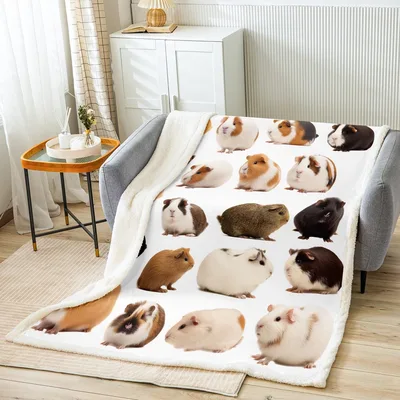 Cute Guinea Pigs Pattern Blanket: A Collection of Realistic Rodents
