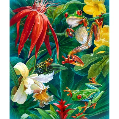 Tropical Frogs and Flowers Blanket: A Lush Rainforest Print