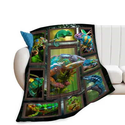 Chameleon Reptile Picture Frames Blanket: Colorful Lizard Gallery