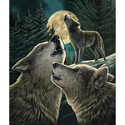 Two Wolves Howling Blanket: Wild Forest Moon Art