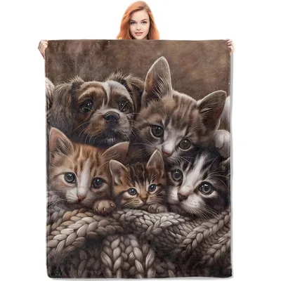 Kittens and Puppy Photo Blanket: Cozy Knit Basket Art