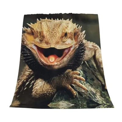 Bearded Dragon Close Up Blanket: Smiling Reptile Design