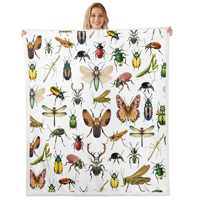 Insects Beetles Moths Pattern Blanket: A Scientific Insect Collection