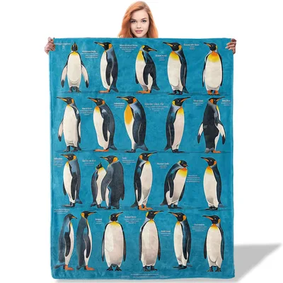 Penguin Chart Pattern Blanket: A Scientific Guide to King Penguins