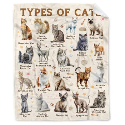 Types of Cats Chart Blanket: A Feline Breed Guide for Enthusiasts