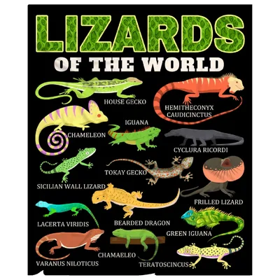 Lizards of the World Blanket: Reptile Chart Design for Enthusiasts
