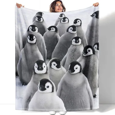 Penguin Chicks in Snow Blanket No. 2 – Penguin Chicks
