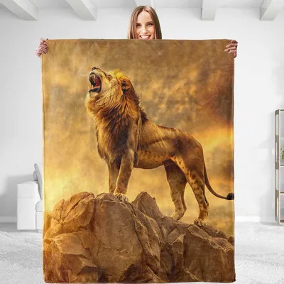Majestic Lion on Rock Blanket: Wild Pride Design for Nature Lovers