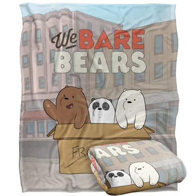 Baby Bears in Cardboard Blanket: We Bare Bears Design