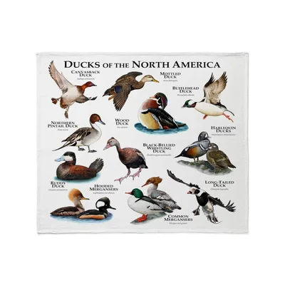 Ducks of North America Blanket: A Vintage Field Guide Print