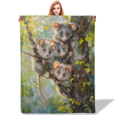 Possum Family in Tree Blanket: Cute Opossums Clinging to Branches