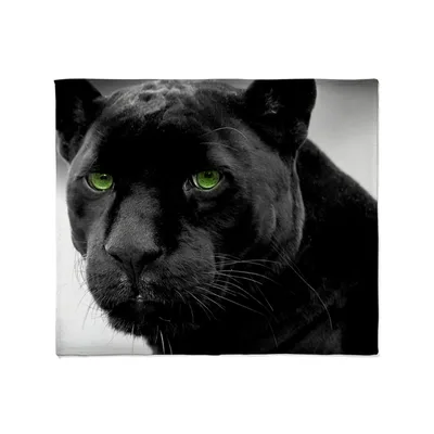 Black Panther Face Portrait Blanket: Intense Green Eyes on Black Fur